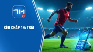 Kèo chấp 1/4 trái
