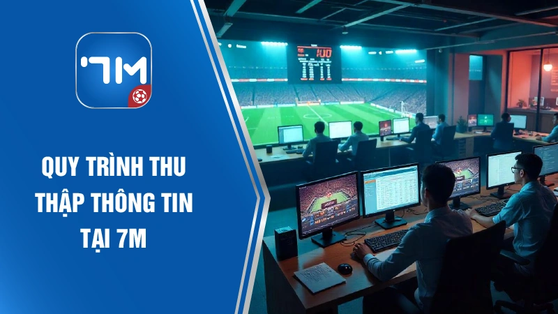 Quy trình thu thập thông tin