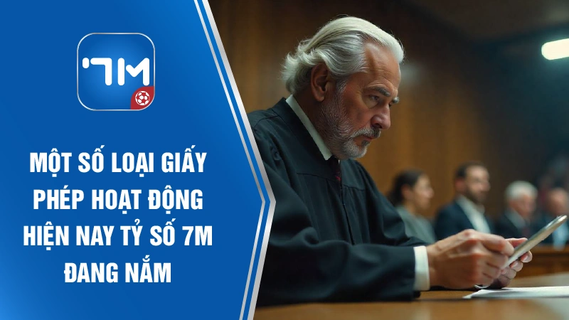Một số loại giấy phép hiện nay tỷ số 7M đang nắm